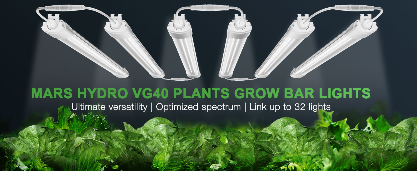 vg40