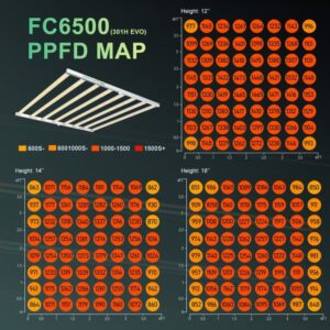 fc-6500-evo