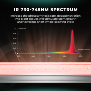 ir15